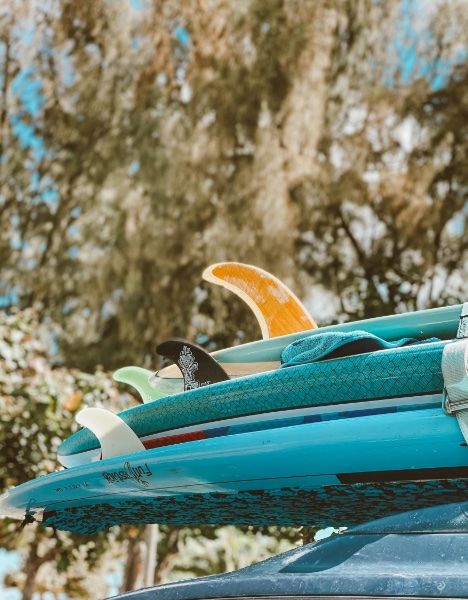 surfboards-fcf7fa2d Nearby Attractions
